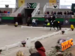 Dressage : à l'heure des reprises en musique