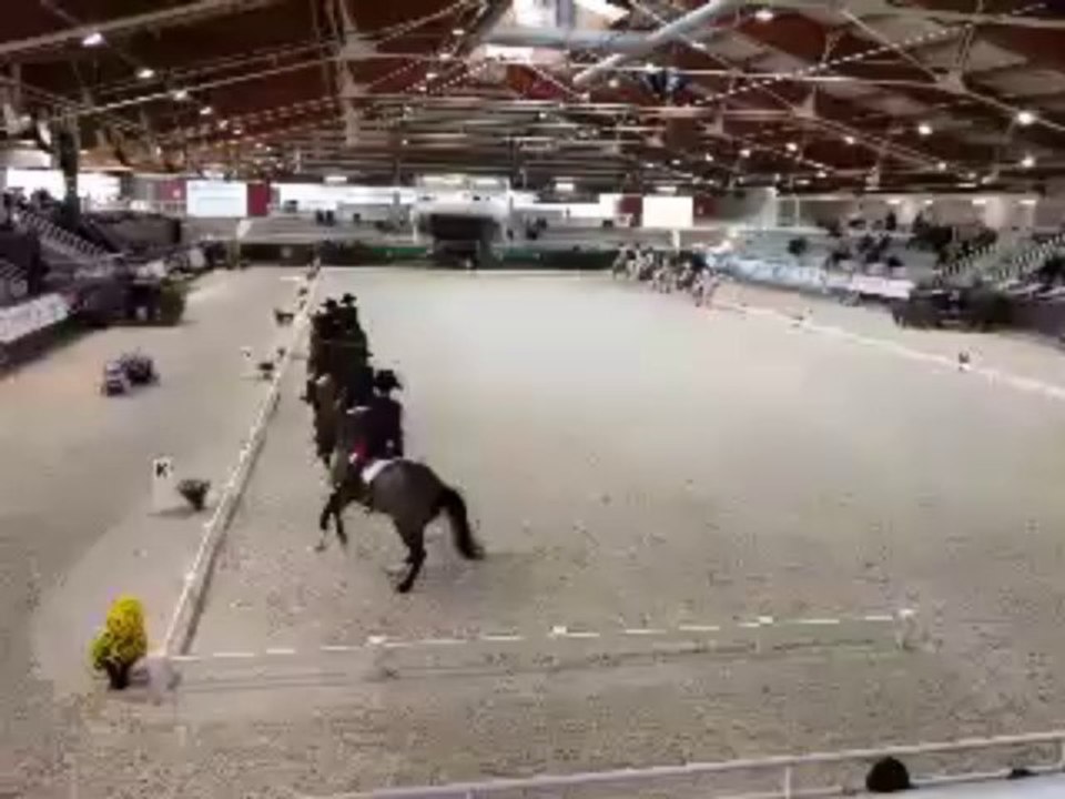 Dressage : à l'heure des reprises en musique