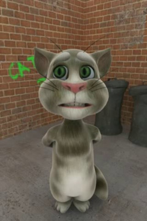 TalkingTom(7).mp4