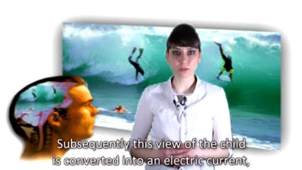 Everything We See and Own is Actually an Image That is Formed in Our Brains