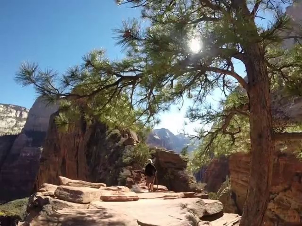 Angel's Landing 1/4