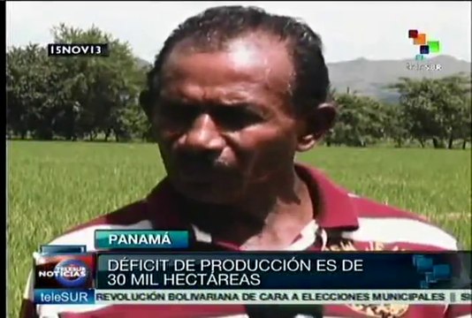 Arroz, rubro amenazado por falta de apoyo a productores panameños