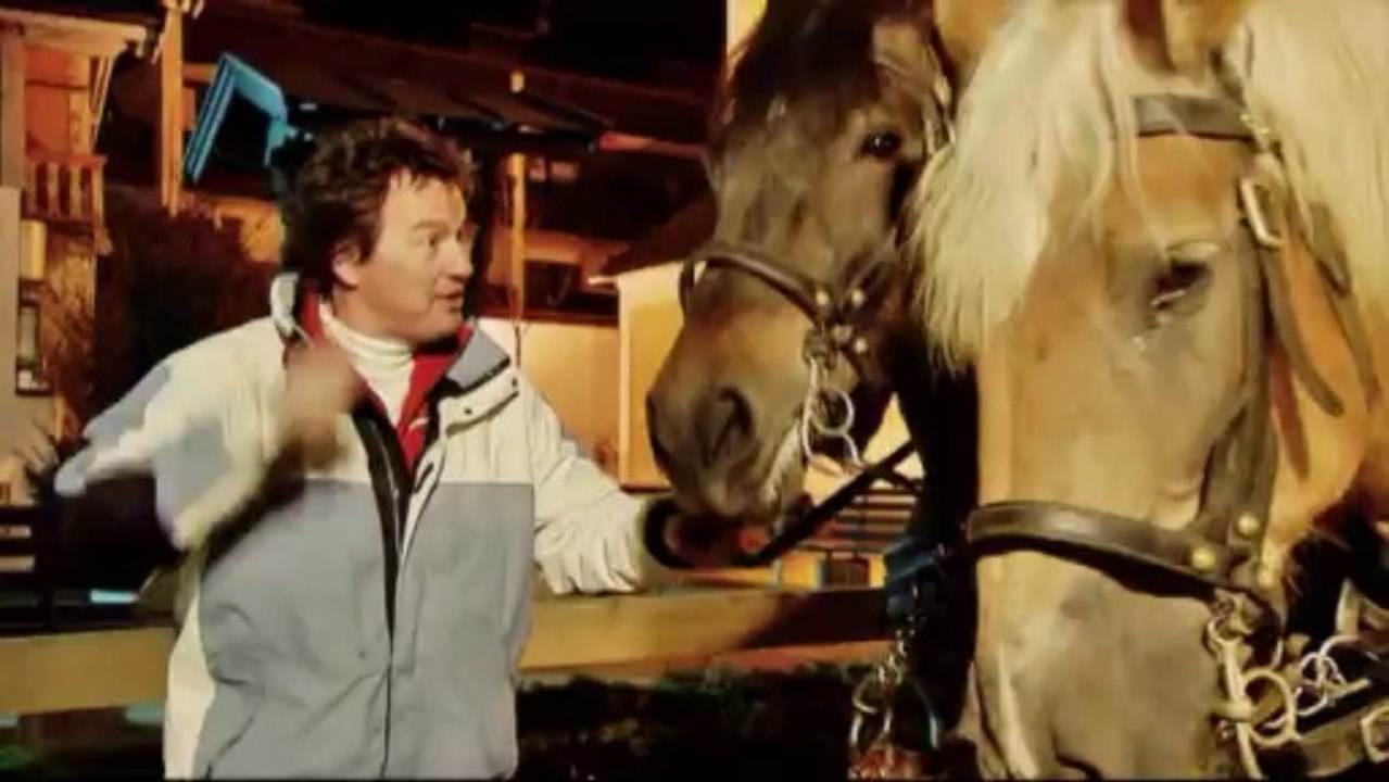 HELEMAAL HOLLANDS IN MIJN OUDE ARRESLEE