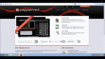 Install Persistent Linux to USB Flash Drive  Peppermint OS