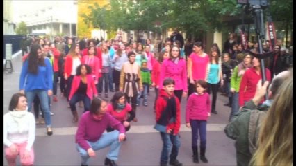 Flashmob des Sages-Femmes - Rouen - 16 Novembre 2013