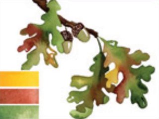 Daniel Smith Artists Materials