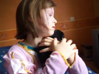 bébés Schnauzer nain noir et argent