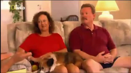 Cesar Millan S01 Ep06 D