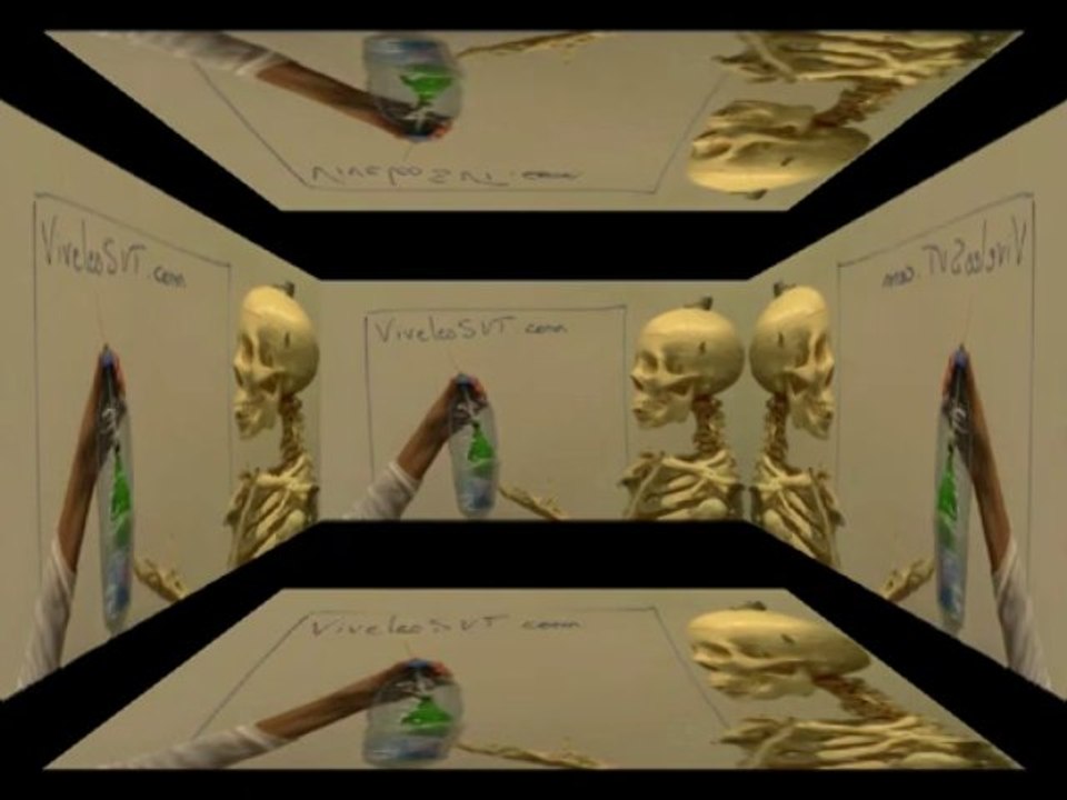 Modélisation des mouvements respiratoires - SVT Dance Floor