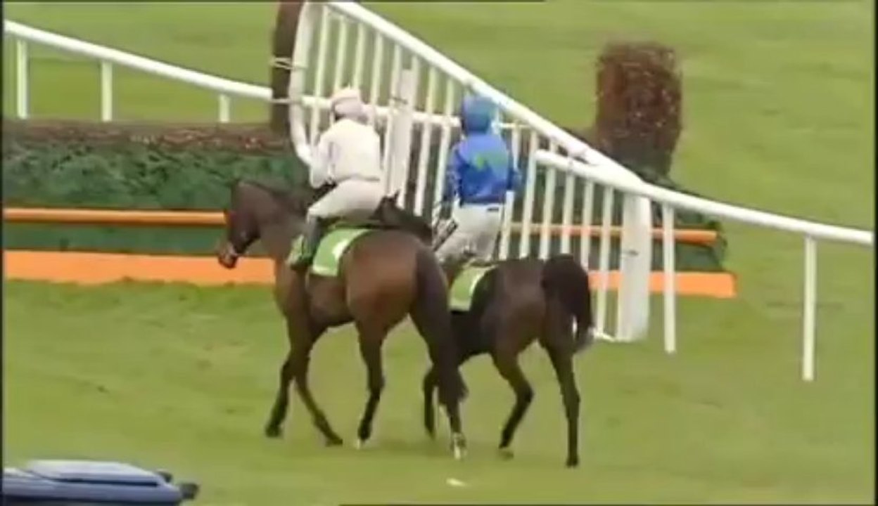 17.11.2013 Punchestown (IRL) 4.Race Morgiana Hurdle 2013 - Group I  3.219 m