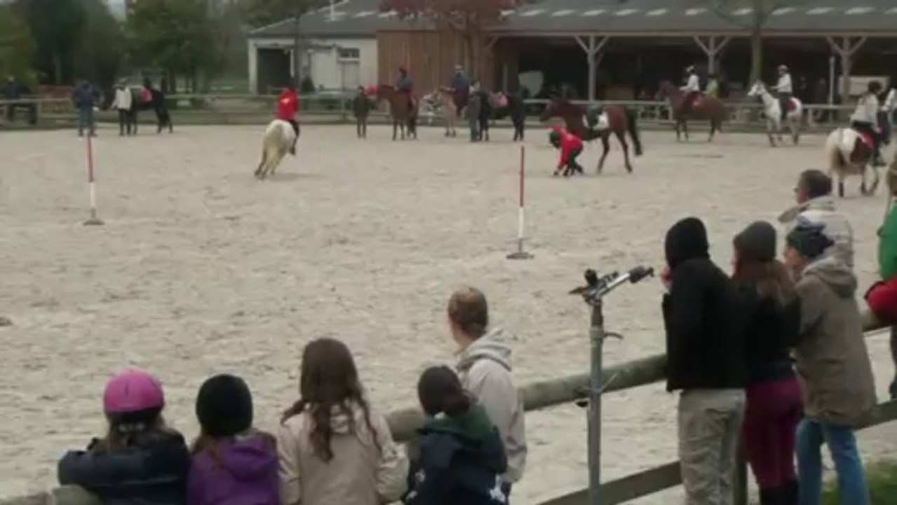 Pony Games Bressuire Nov 2013 Cadet Elite du Logis