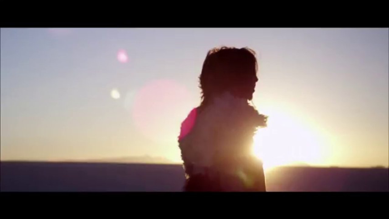 Sirens Call - Cats on Trees