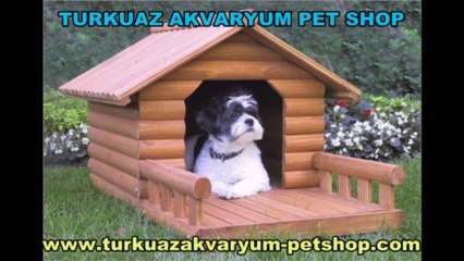 Köpek Maması