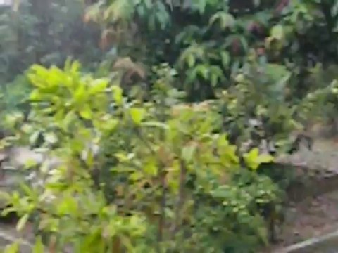 Việt Nam Wedding Part 3. More Rain