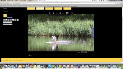 Send Free eCards Easily on Love Remains 💌