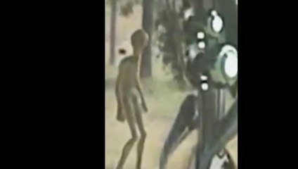 UFO's And E.T.'s: Want To See An Alien? Take A Look At This One
