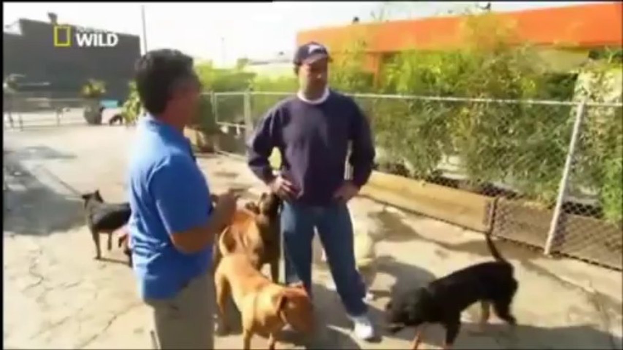 Cesar Millan S01 Ep09b D