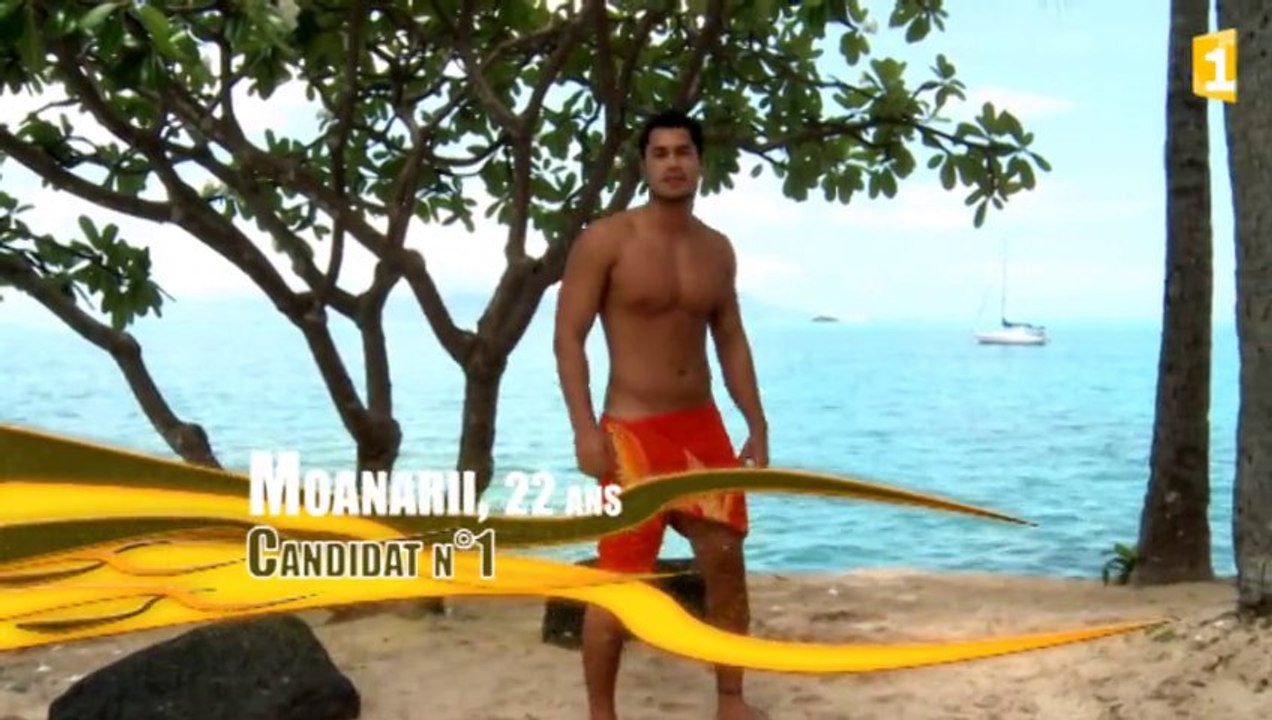 Candidat n°1 - Moanarii