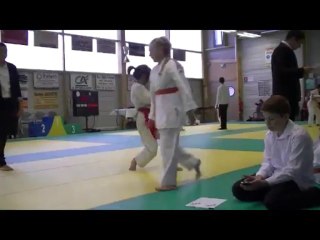 Fresnay sur Sarthe 3