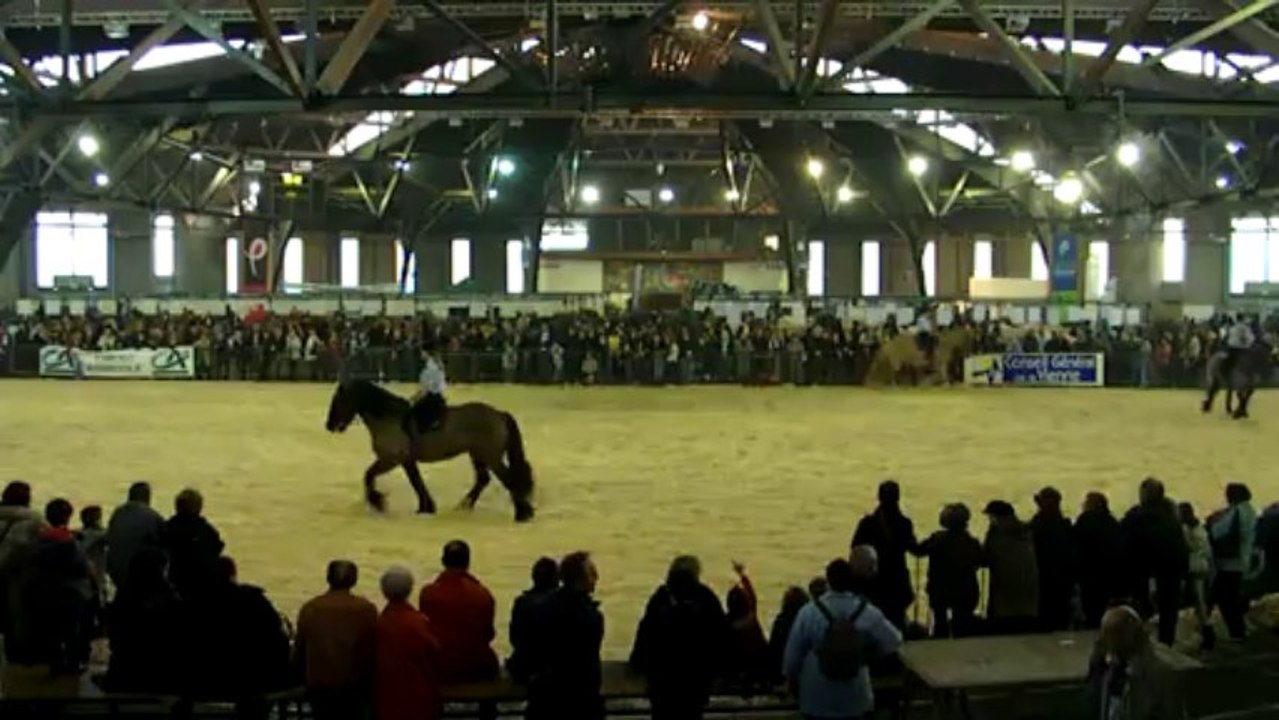 CARROUSEL POITIERS 2013