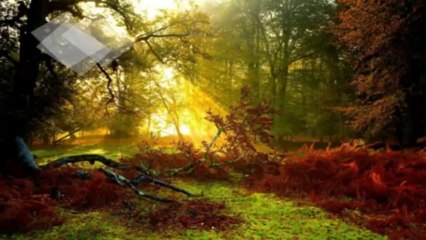 Утре слънцето отново ще изгрее...(music Fausto Papetti)...