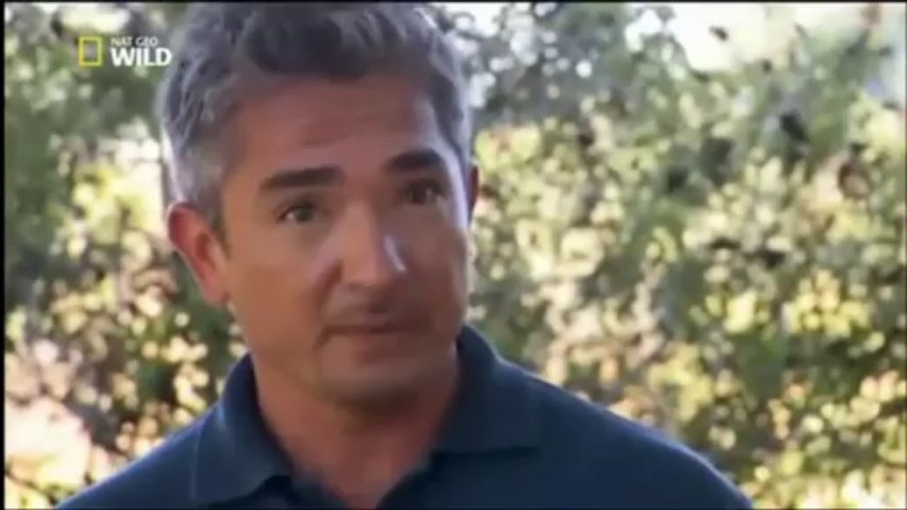 Cesar Millan S01 Ep07 D