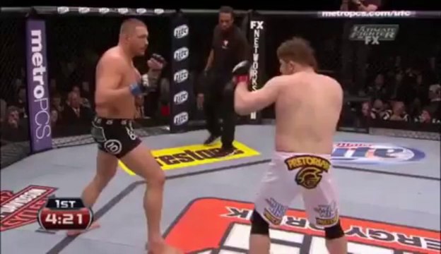 Il est GROS mais défonce tout le monde : Roy NELSON, MMA FIGHTER!