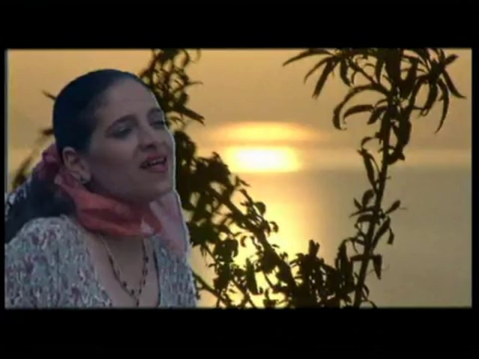 Yaban Gülü (Sevgi Küçük)