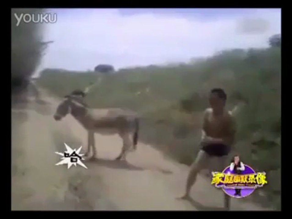Man V/S Donkey