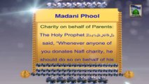 Useful Information 03 - Charity on Behalf Of Parents - About Fatiha