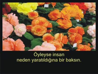 Abdulbasit Abdussamed - Tarık Suresi