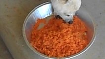 Our Dogs Eating Carrot Juice Pulp Believed To Contain Trace Amounts Of The Mineral Strontium