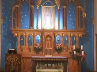 Nov 18 - Homily: Be Faithful, Even to Death