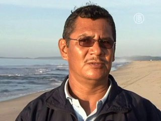 Мексика: миллионы черепашек устремились в океан