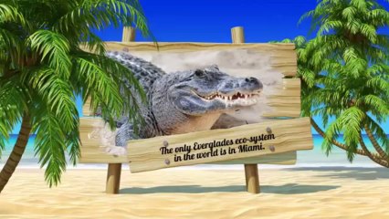 Miami's Rich History & Vibrant Culture 🌴