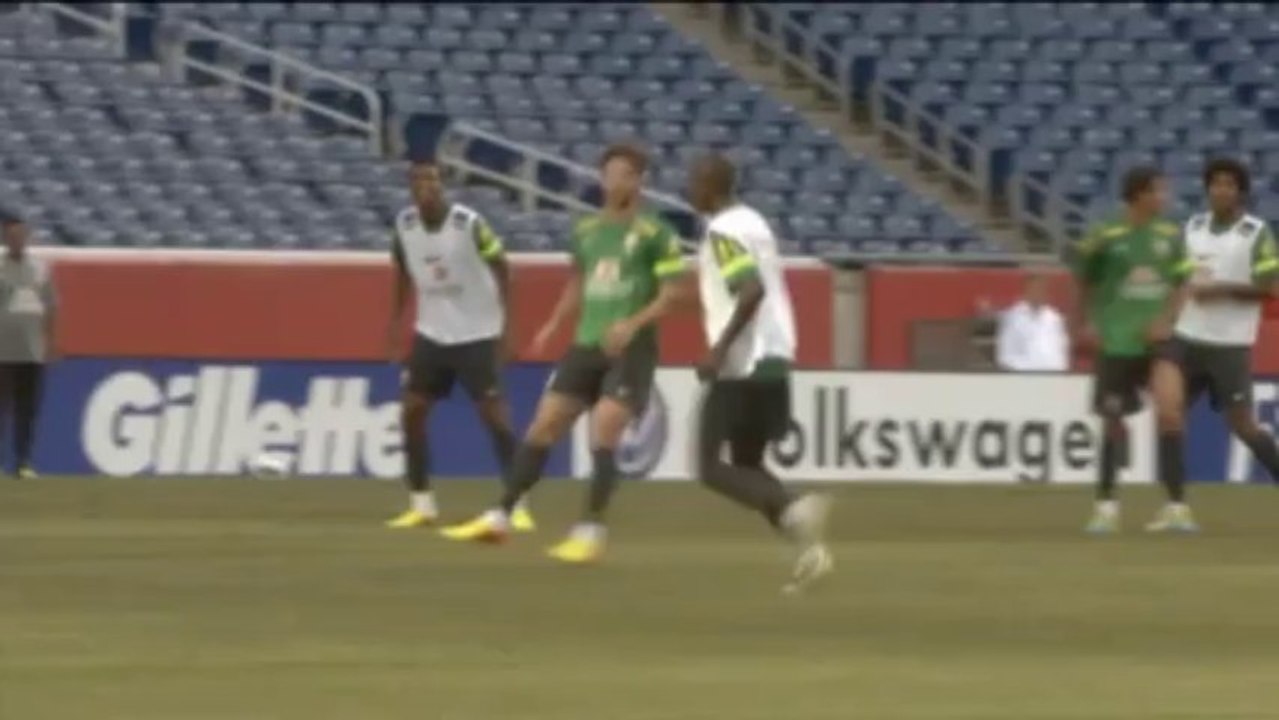 WM 2014: Finke mit Kamerun in Brasilien dabei