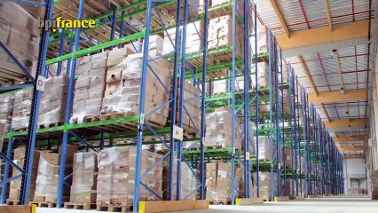 Mobilitas, une entreprise familiale internationale