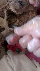 VIDEO0058