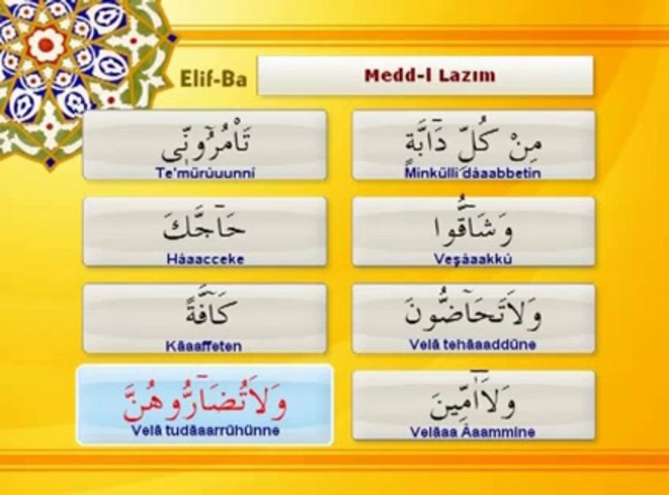 Tecvit dersi 18 - Medd-i Lazım