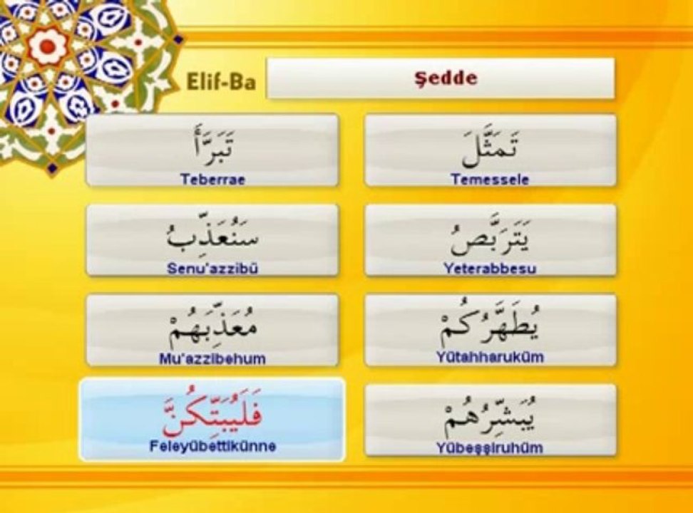 Tecvit dersi 08 - Şedde