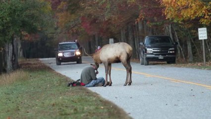 Rena troca encarada furiosa com fotógrafo em parque nos EUA