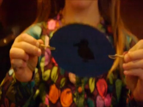 L'image animée - Flipbook et thaumatrope - Soucoupes 158 - 2013/2014