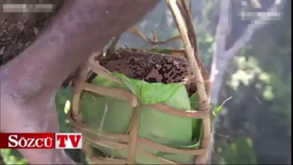 Afrika'da baba olmak!