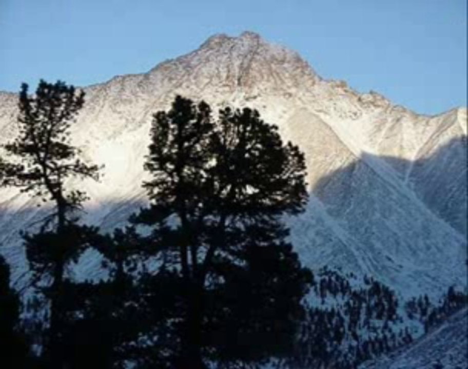 NE HASTAYIM NE ÖLÜYÜM NE SAĞIM-MEVLÜT İHSANi