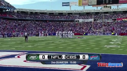 Buffalo Bills Fan Falls From 300 level Ralph Wilson Stadium