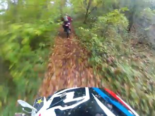 ptite ballade en foret