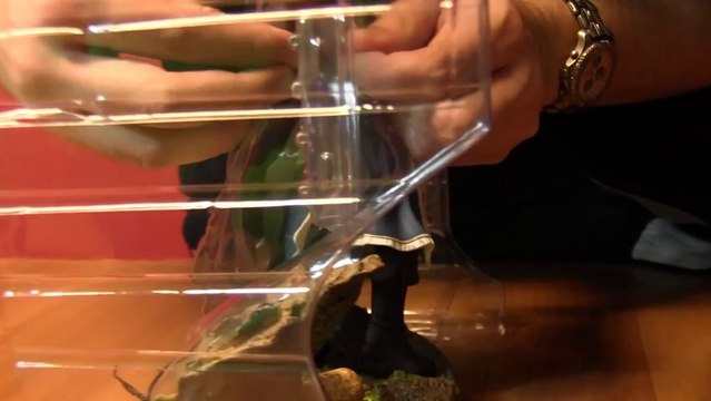 Off Topic - Unboxing Assassin's Creed IV Action Figure