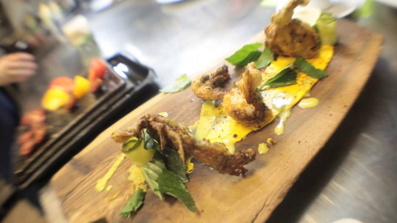 Splendido - Harbord Restaurant in Toronto