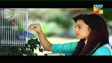 Aseer Zadi Episode No.08 in High Quality By GlamurTv