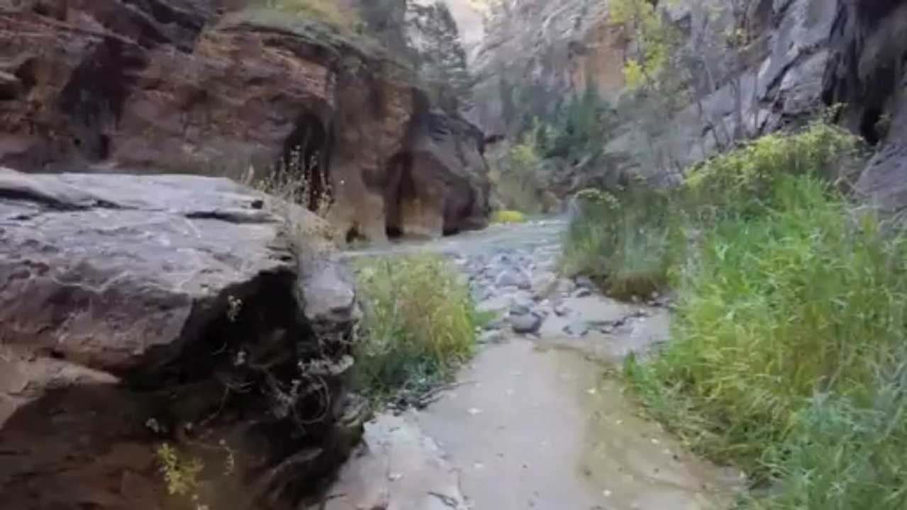 Zion Narrows 8/9